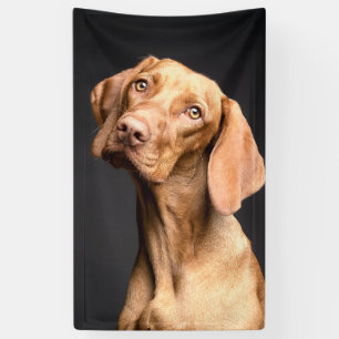 Lona Mascota Brown Beagle Dog