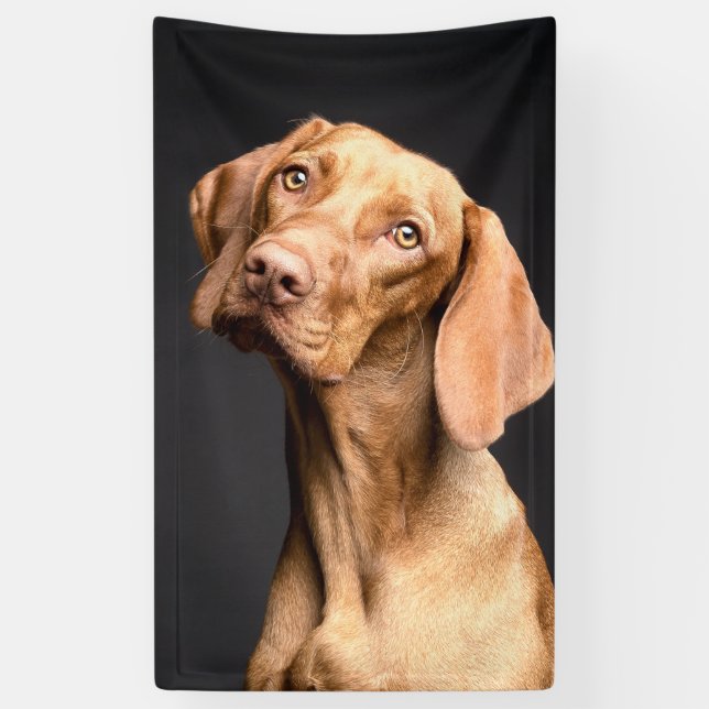 Lona Mascota Brown Beagle Dog (Vertical)