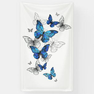 Lona Morfo de las mariposas voladoras azules