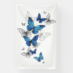 Lona Morfo de las mariposas voladoras azules