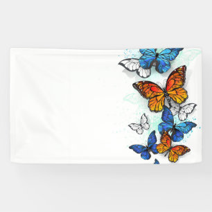Lona Morfo y monarca de las mariposas voladoras