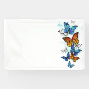 Lona Morfo y monarca de las mariposas voladoras