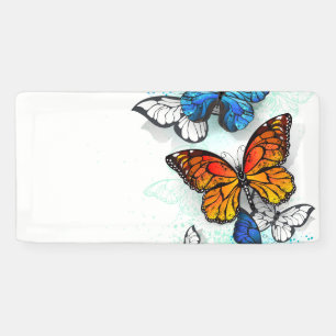 Lona Morfo y monarca de las mariposas voladoras