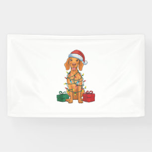 Lona Navidades perinos de Santa Hat Pomeranian