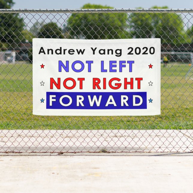 Lona NO SE DEJÓ EN MARCHA ATRÁS - Andrew Yang 2020 (In situ)