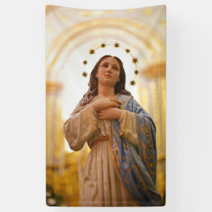 Lona Nuestra señora del concepto