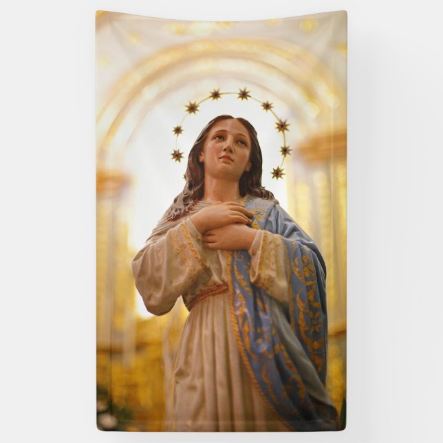 Lona Nuestra señora del concepto (Vertical)
