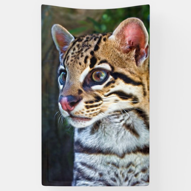 Lona Ocelot - Wild Mini Jaguar (Vertical)