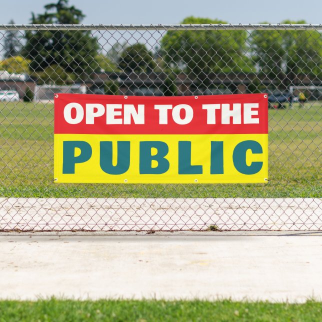 Lona Open To The Public Event  (In situ)