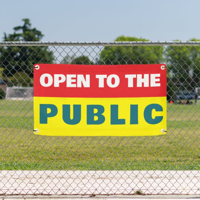 Lona Open To The Public Event  (in situ)