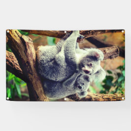 LONA OSO DE KOALA Y BANDEJA DE CUBO CON GRUPOS