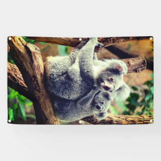 LONA OSO DE KOALA Y BANDEJA DE CUBO CON GRUPOS