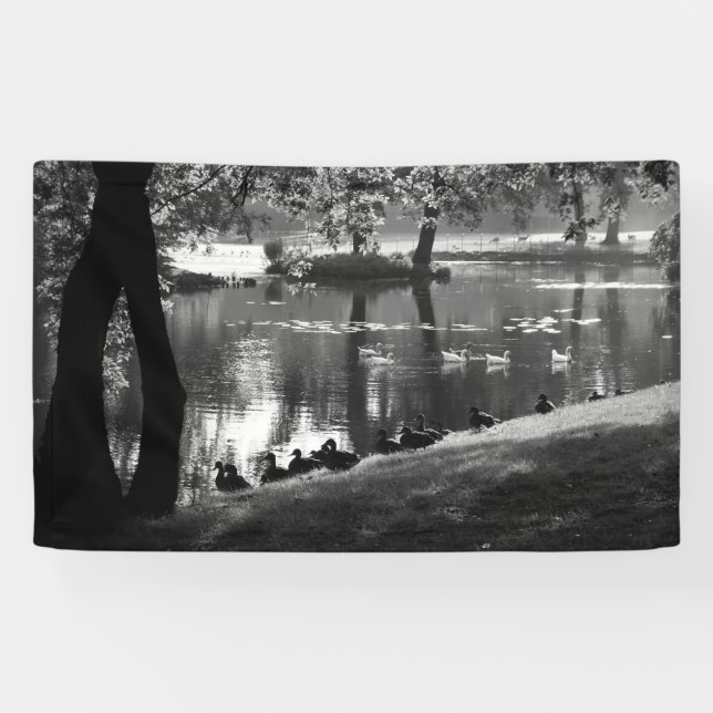 Lona Park Life bnrcna (Horizontal)