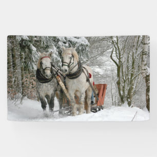 Lona Paseo en Sleigh en el bosque nevado