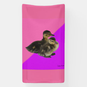 Lona Patos de bebé de frambuesa rosa y sorbete morado
