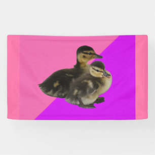 Lona Patos de bebé de frambuesa rosa y sorbete morado