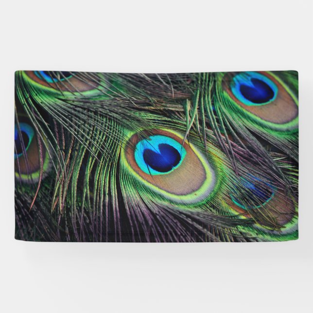 Lona Pavo real (Horizontal)