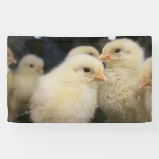 Lona Peeps (Horizontal)