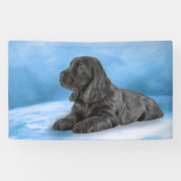 Perrito de cocker spaniel del inglés