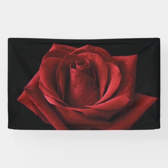 Lona Pilar de lanzamiento de rosa roja (Horizontal)