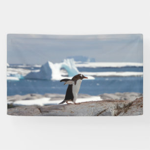 Lona Pingüino frente a un arco de hielo