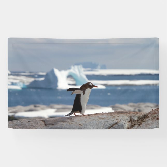 Lona Pingüino frente a un arco de hielo (Horizontal)