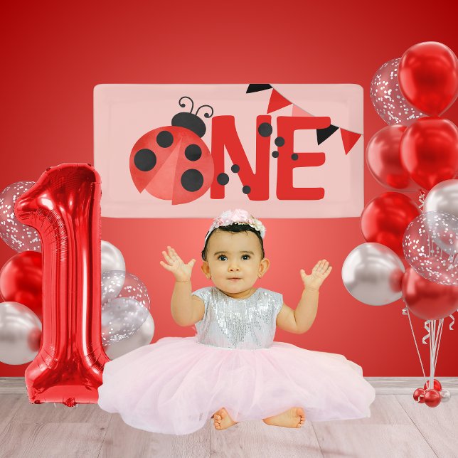 Lona Pink Watercolor ONE Ladybug Birday Mini Banner (Light Pink Salmon Mini Watercolor Ladybug ONE Hanging Vinyl Banner for Photoshoot or Cake Smash)