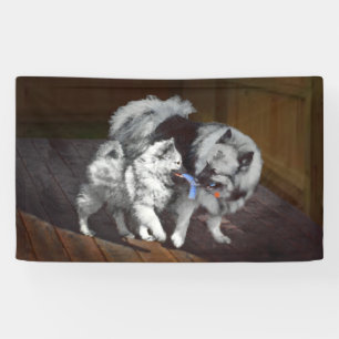 Lona Pintado Keeshond Playtime - Arte Perro Original.