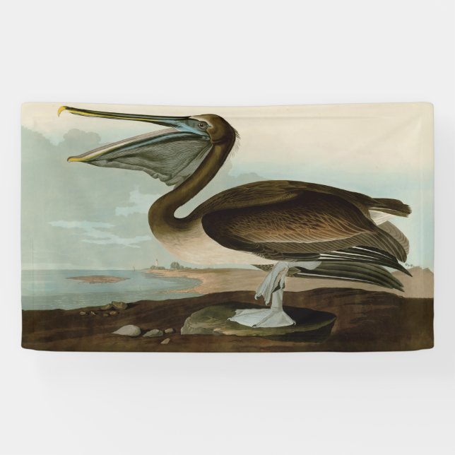 Lona Pintura de arte pelicano John James Audubon Brown (Horizontal)