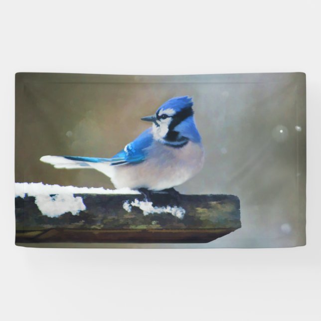 Lona Pintura de Jay azul - Arte de pájaro original (Horizontal)