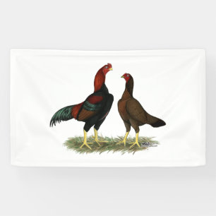 Lona Pollos rojos negros de Aseel