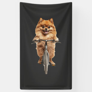 Lona Pomerania