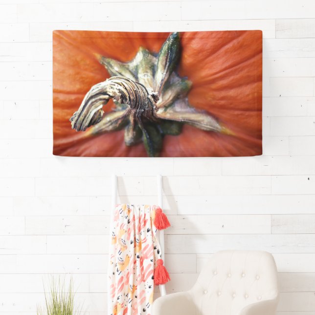 Lona Pumpkin Spiral  (In situ)