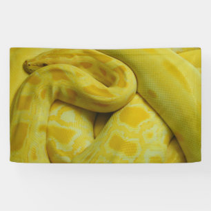 Lona Python birmano amarillo