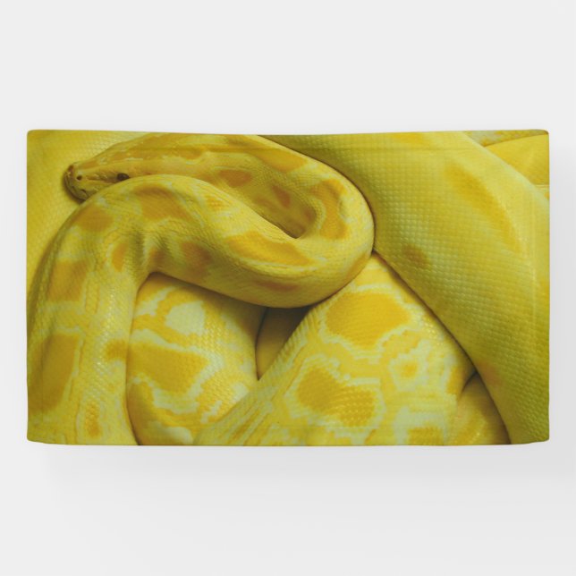 Lona Python birmano amarillo (Horizontal)