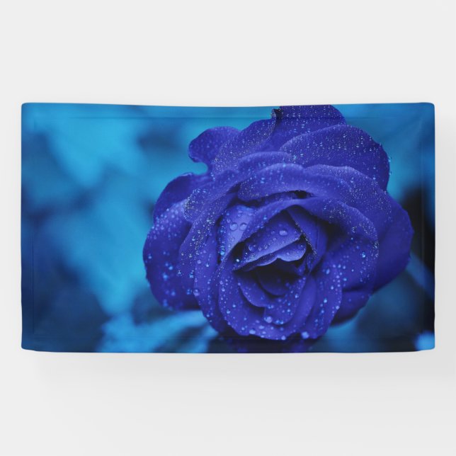 Lona Rosa Blue Dewdrop (Horizontal)