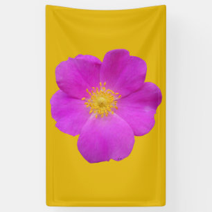 Lona Rosa salvaje 2