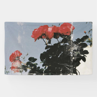 Lona Rosas Rojas Vintage Contra un Cielo Azul