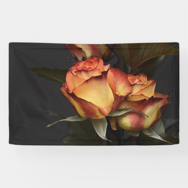 Lona Roses naranja, roja y amarilla (Horizontal)