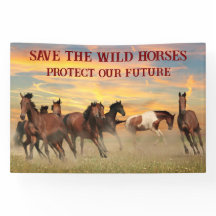 Salvar a los Caballos Salvajes