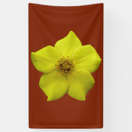 Lona Shrubby Cinquefoil #1
