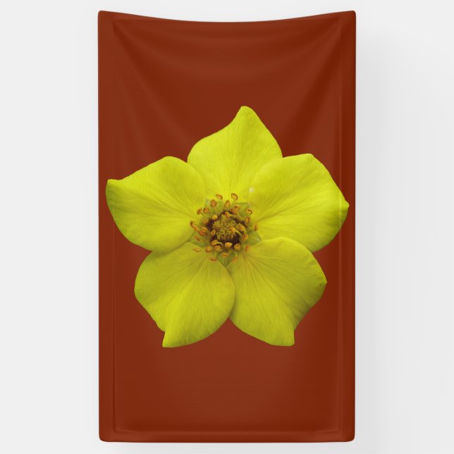 Lona Shrubby Cinquefoil #1 (Vertical)