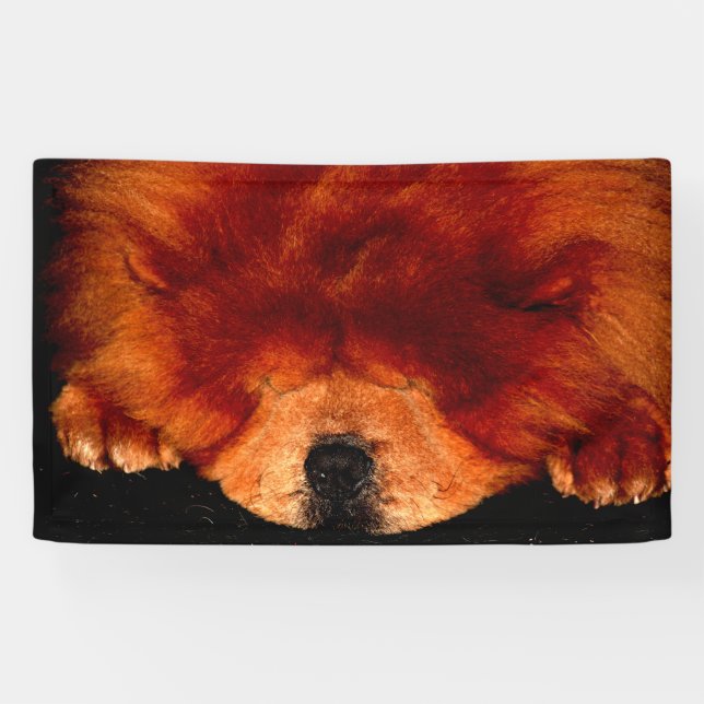 Lona Sleeping Chow Chow Bnrcna (Horizontal)