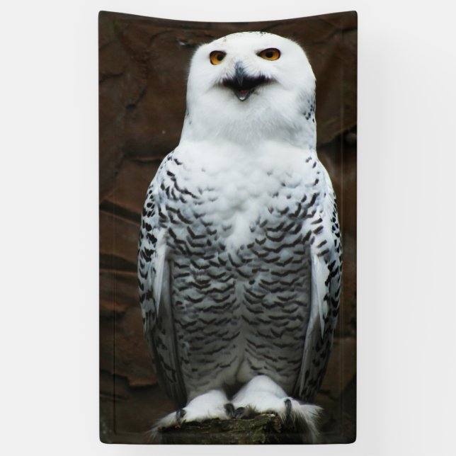 Lona Snowy Owl Bnrcna (Vertical)