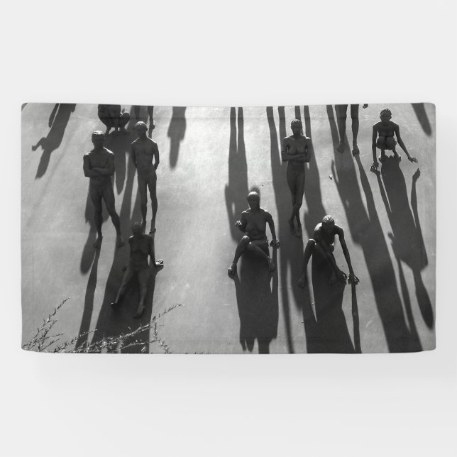 Lona Sombras (Horizontal)