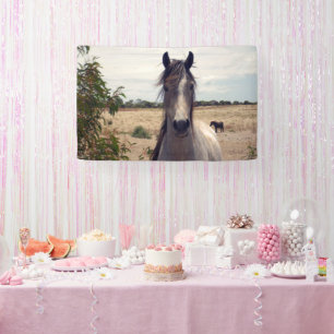 Lona Star The Arab Pony, Cartel de cumpleaños