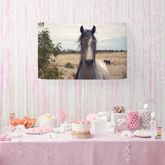 Lona Star The Arab Pony, Cartel de cumpleaños (Fiesta)