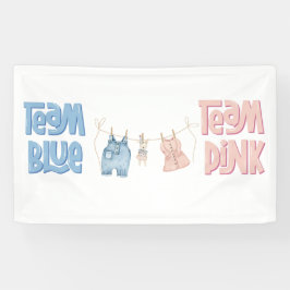 Lona Team Blue and Pink Gender Reveal 