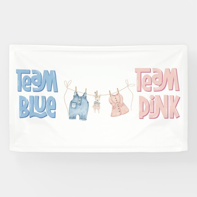 Lona Team Blue and Pink Gender Reveal  (Horizontal)
