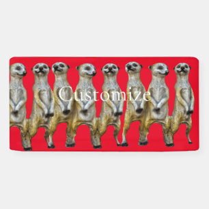 Lona Thunder_Cove de los Merkats Permanentes